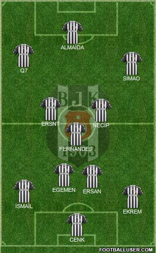 Besiktas JK Formation 2011