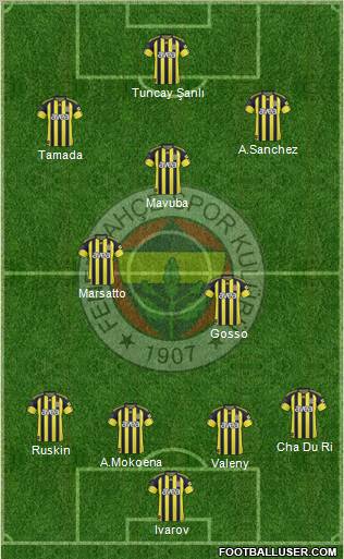 Fenerbahçe SK Formation 2011