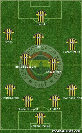 Fenerbahçe SK Formation 2011