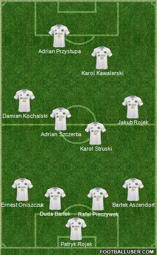 Gornik Leczna Formation 2011