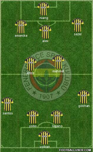Fenerbahçe SK Formation 2011
