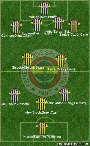 Fenerbahçe SK Formation 2011