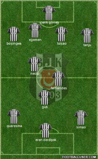 Besiktas JK Formation 2011