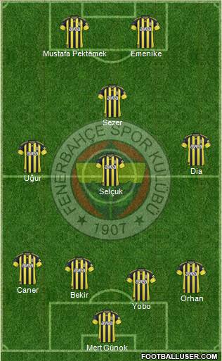 Fenerbahçe SK Formation 2011