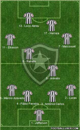 Botafogo FR Formation 2011