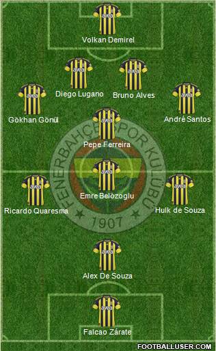 Fenerbahçe SK Formation 2011