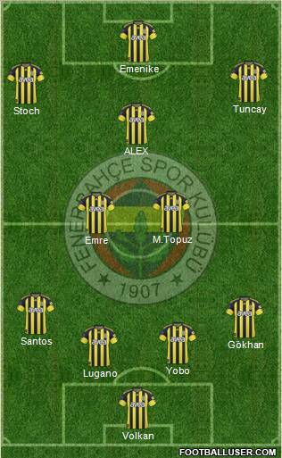 Fenerbahçe SK Formation 2011