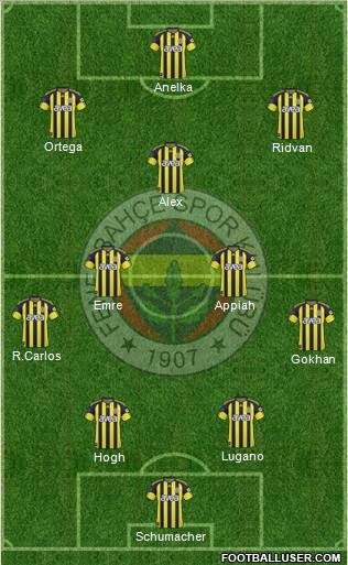 Fenerbahçe SK Formation 2011