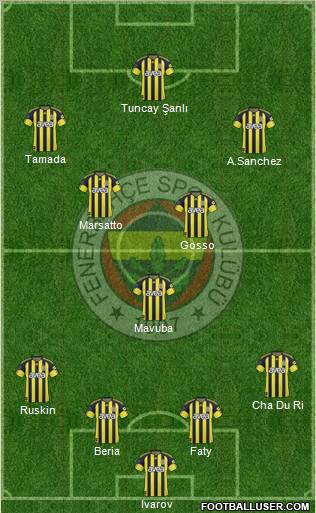 Fenerbahçe SK Formation 2011