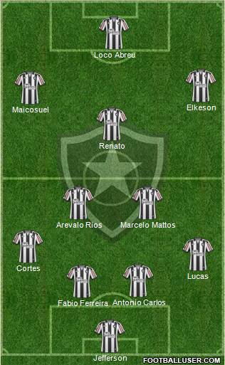 Botafogo FR Formation 2011