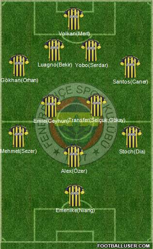Fenerbahçe SK Formation 2011