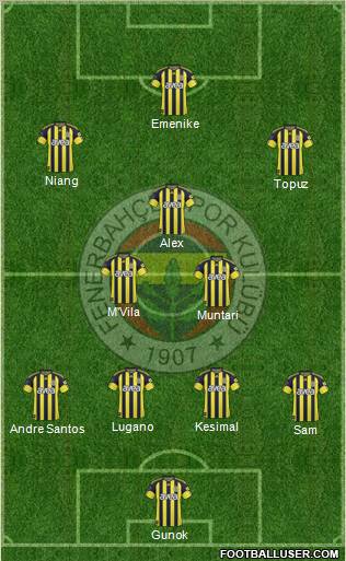 Fenerbahçe SK Formation 2011