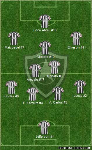 Botafogo FR Formation 2011