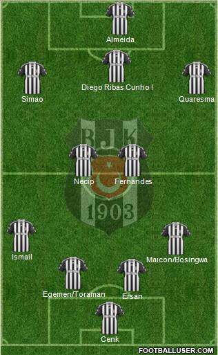 Besiktas JK Formation 2011
