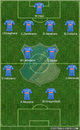 TSG 1899 Hoffenheim Formation 2011