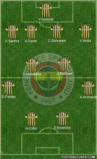 Fenerbahçe SK Formation 2011