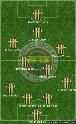 Fenerbahçe SK Formation 2011