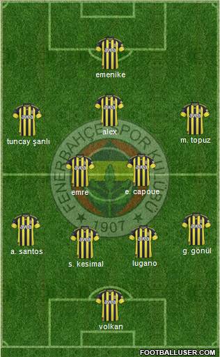 Fenerbahçe SK Formation 2011