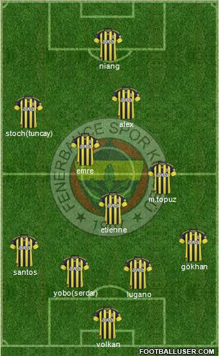 Fenerbahçe SK Formation 2011