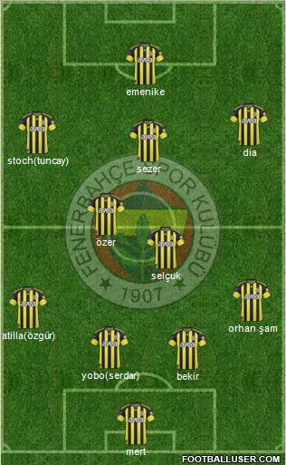Fenerbahçe SK Formation 2011