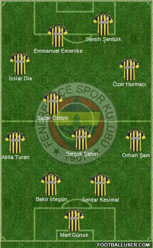 Fenerbahçe SK Formation 2011