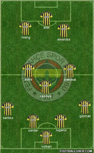Fenerbahçe SK Formation 2011