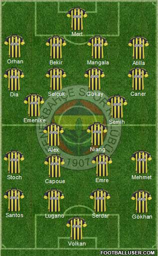Fenerbahçe SK Formation 2011