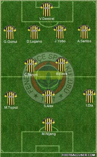 Fenerbahçe SK Formation 2011