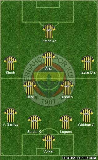 Fenerbahçe SK Formation 2011