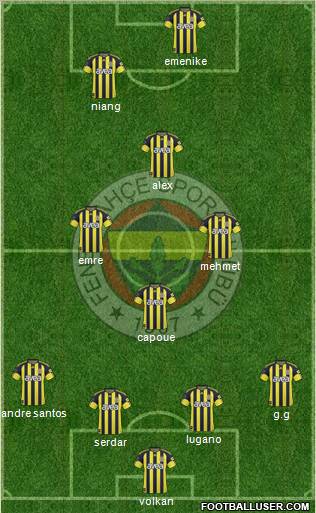 Fenerbahçe SK Formation 2011