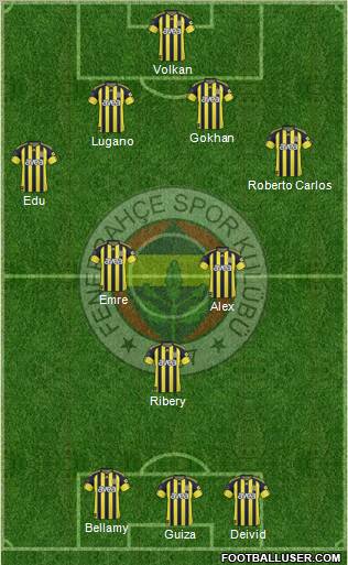 Fenerbahçe SK Formation 2011