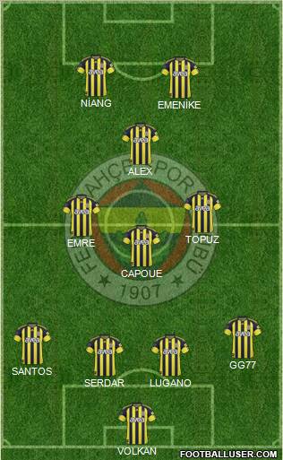 Fenerbahçe SK Formation 2011