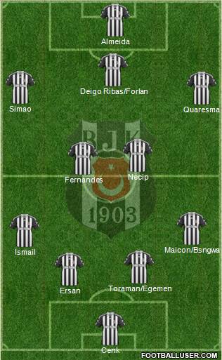 Besiktas JK Formation 2011