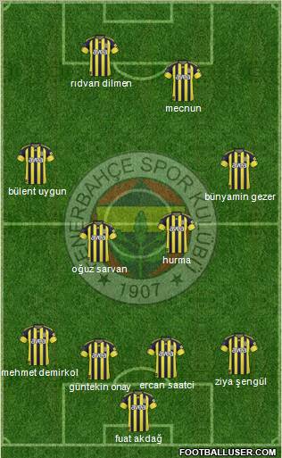 Fenerbahçe SK Formation 2011