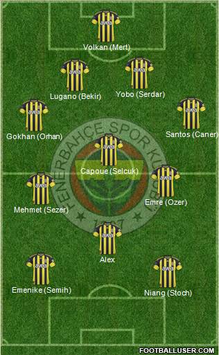 Fenerbahçe SK Formation 2011