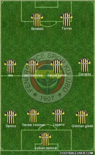 Fenerbahçe SK Formation 2011