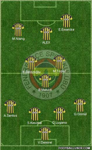 Fenerbahçe SK Formation 2011