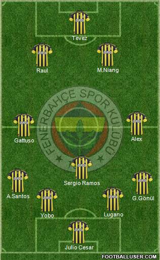 Fenerbahçe SK Formation 2011