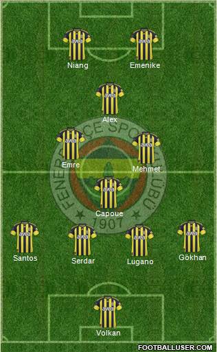 Fenerbahçe SK Formation 2011