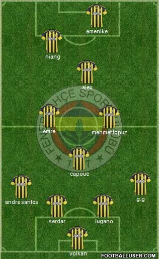 Fenerbahçe SK Formation 2011