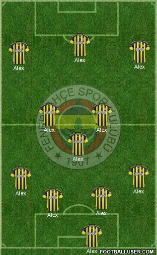 Fenerbahçe SK Formation 2011