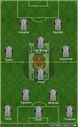 Besiktas JK Formation 2011