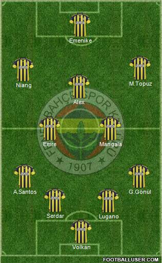 Fenerbahçe SK Formation 2011