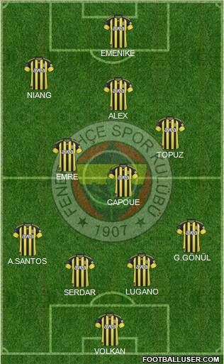 Fenerbahçe SK Formation 2011