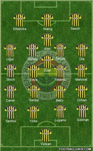 Fenerbahçe SK Formation 2011