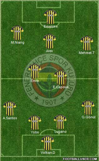 Fenerbahçe SK Formation 2011