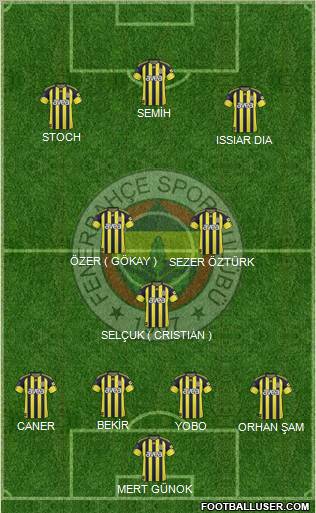 Fenerbahçe SK Formation 2011