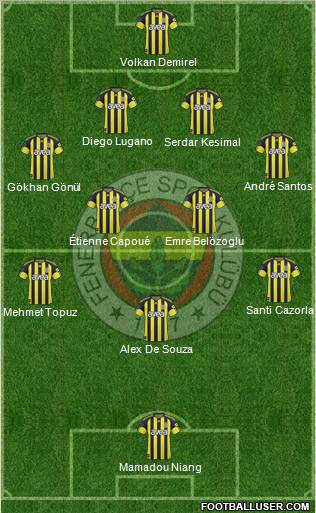 Fenerbahçe SK Formation 2011