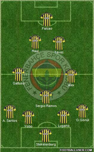 Fenerbahçe SK Formation 2011