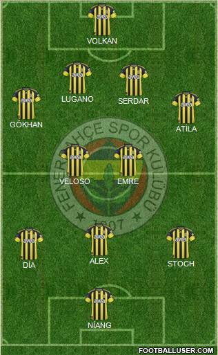 Fenerbahçe SK Formation 2011